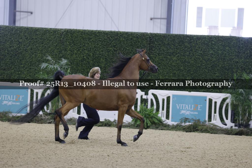 Proof 25R13_10408