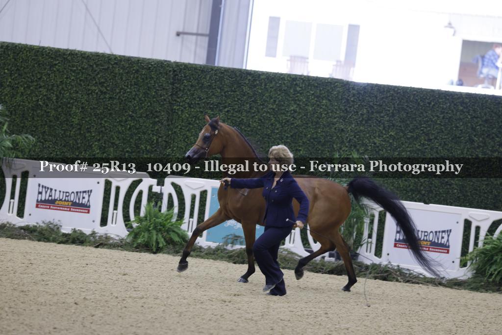 Proof 25R13_10409