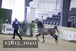 25R13_10411 proof