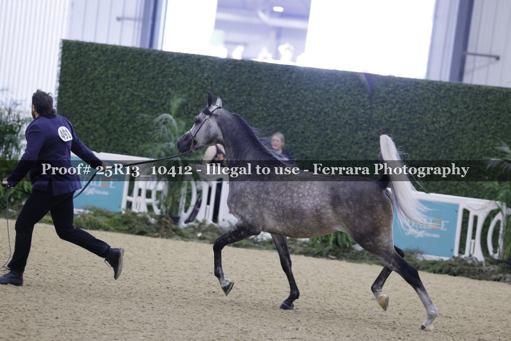 Proof 25R13_10412