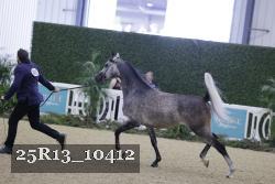 25R13_10412 proof