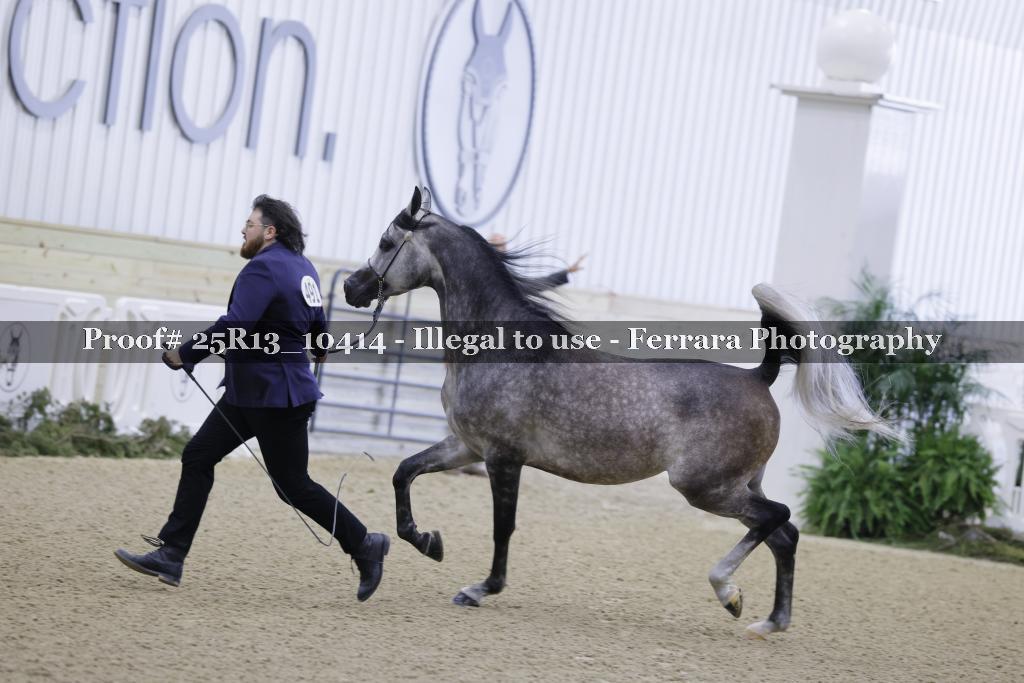 Proof 25R13_10414