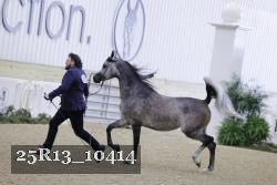 25R13_10414 proof