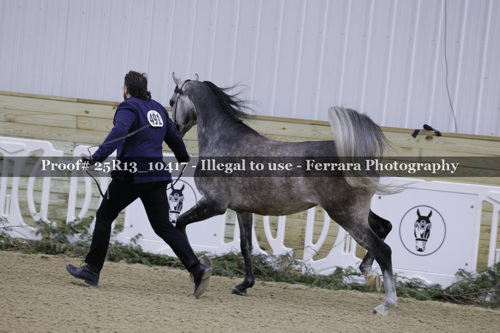 Proof 25R13_10417