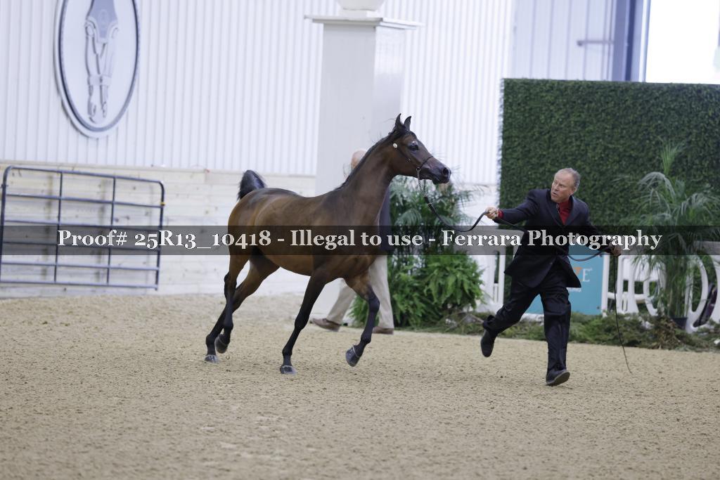 Proof 25R13_10418