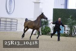 25R13_10418 proof