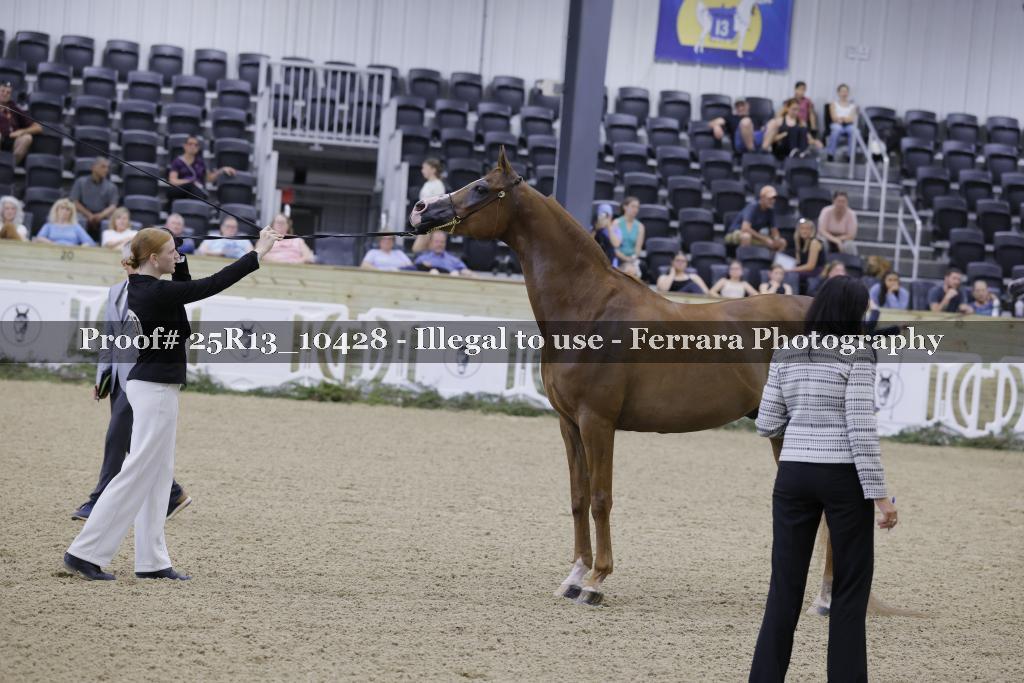 Proof 25R13_10428