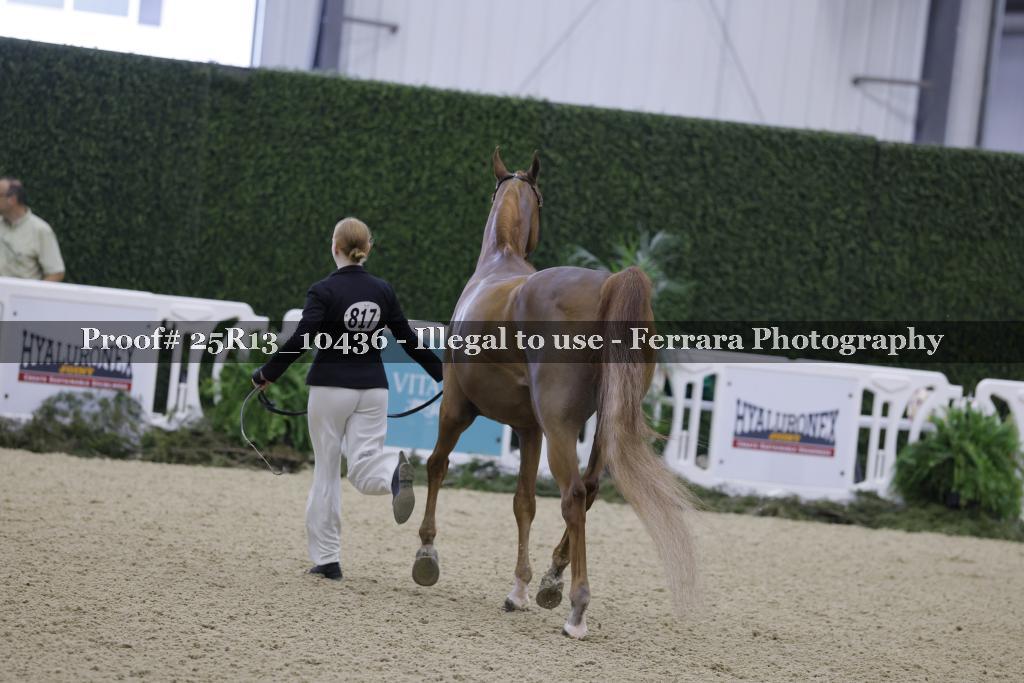 Proof 25R13_10436