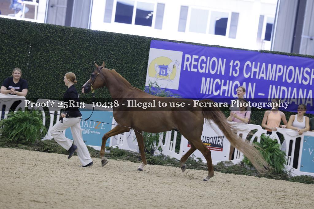 Proof 25R13_10438
