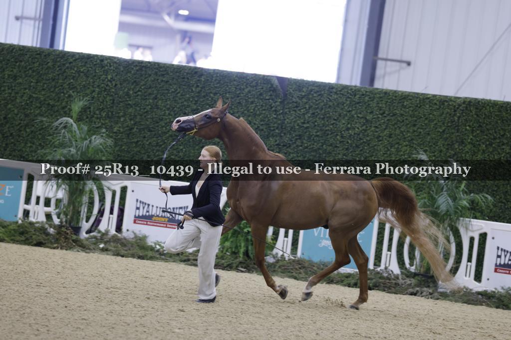 Proof 25R13_10439