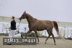 25R13_10441 proof