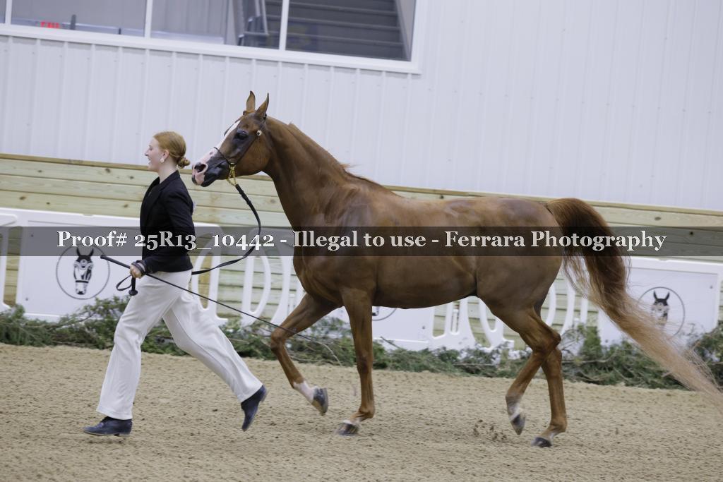Proof 25R13_10442