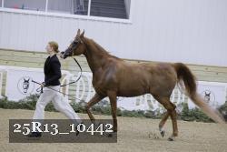 25R13_10442 proof
