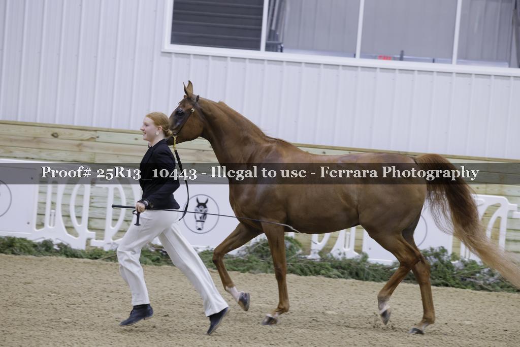 Proof 25R13_10443