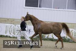 25R13_10443 proof