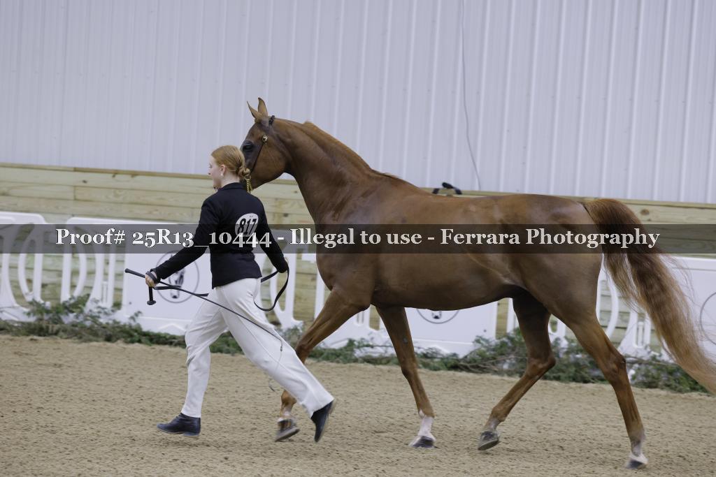 Proof 25R13_10444