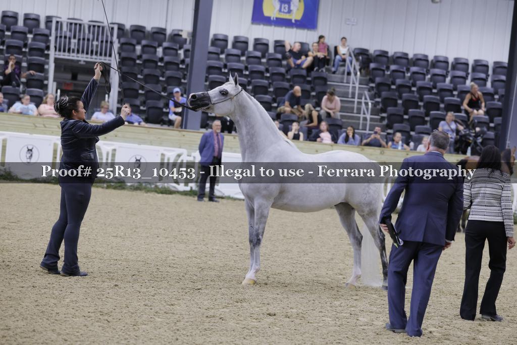 Proof 25R13_10453