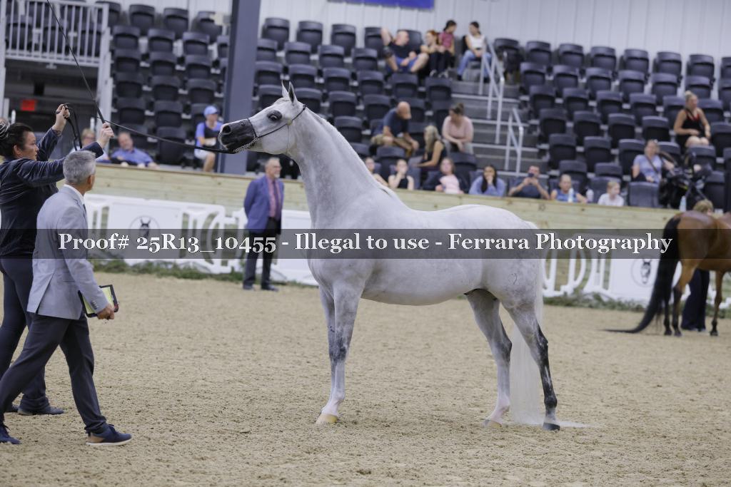 Proof 25R13_10455