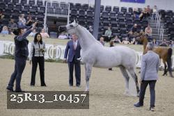 25R13_10457 proof