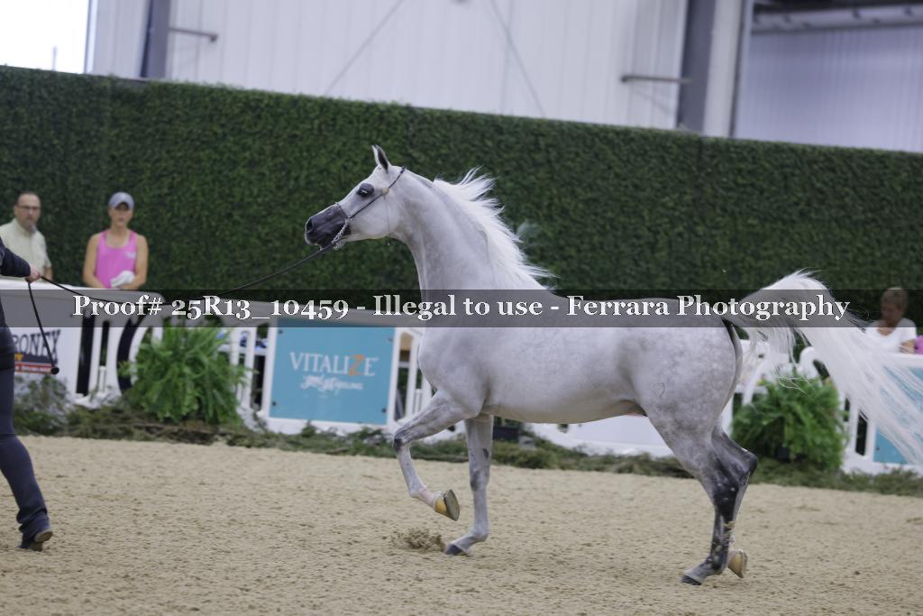 Proof 25R13_10459