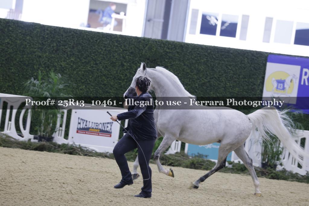 Proof 25R13_10461