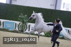 25R13_10462 proof