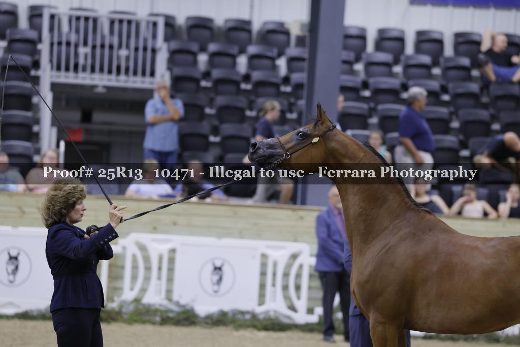 Proof 25R13_10471
