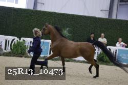 25R13_10473 proof