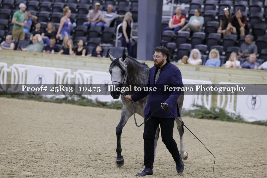 Proof 25R13_10475