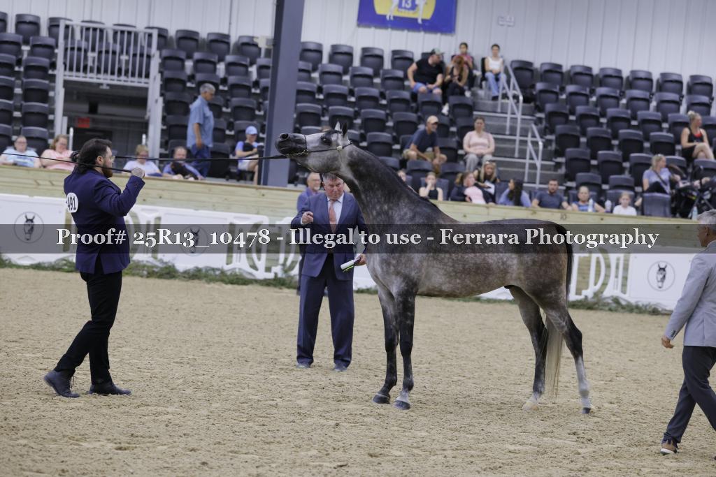 Proof 25R13_10478