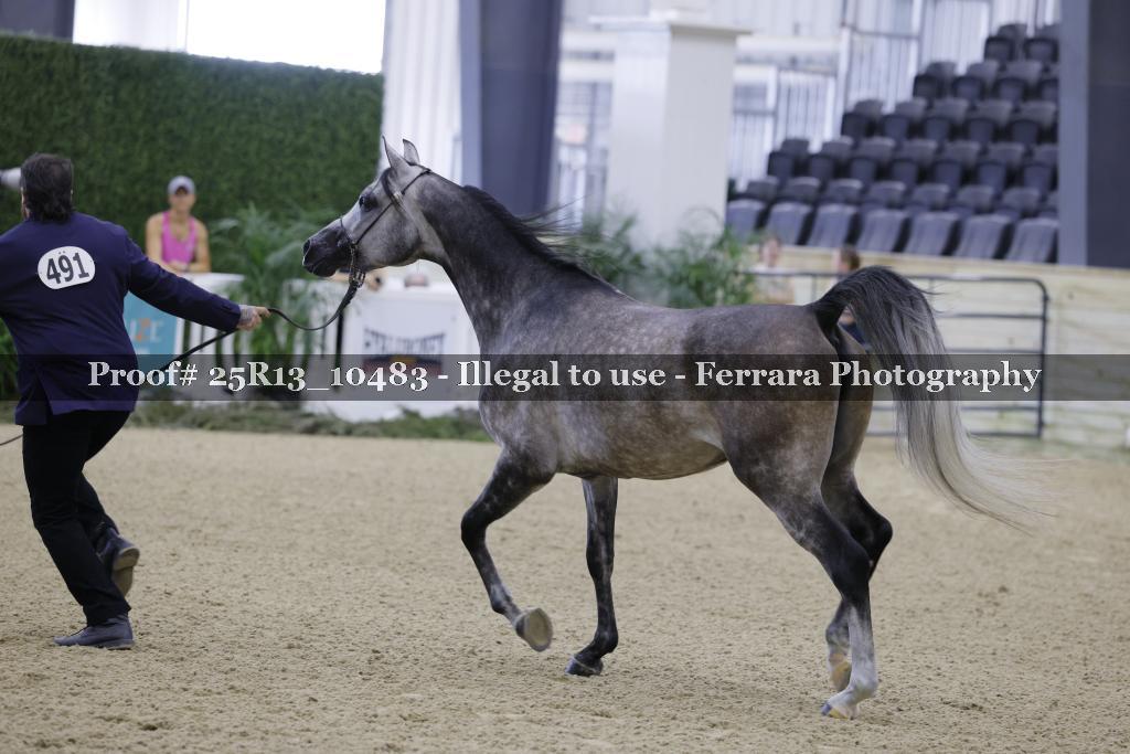 Proof 25R13_10483
