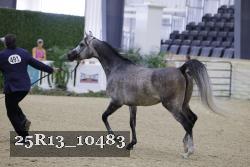 25R13_10483 proof