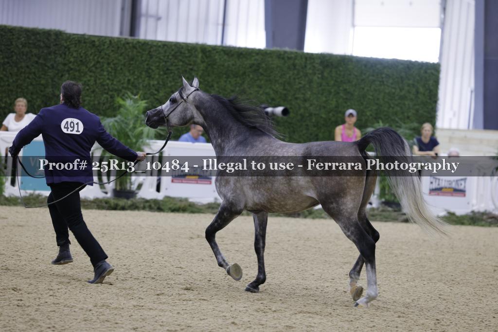 Proof 25R13_10484