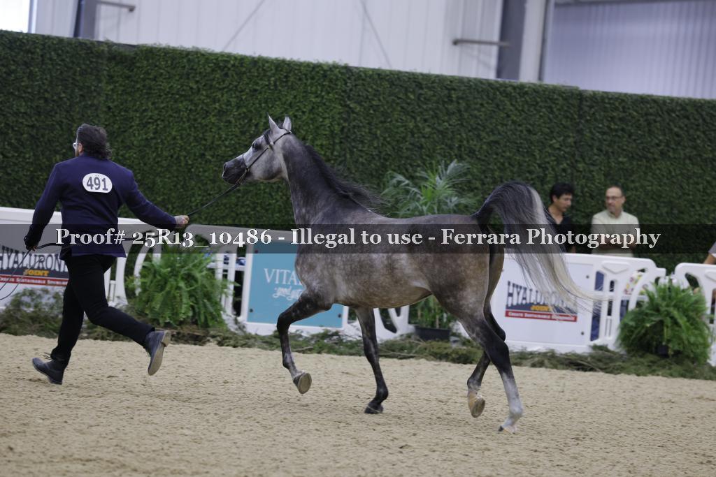 Proof 25R13_10486