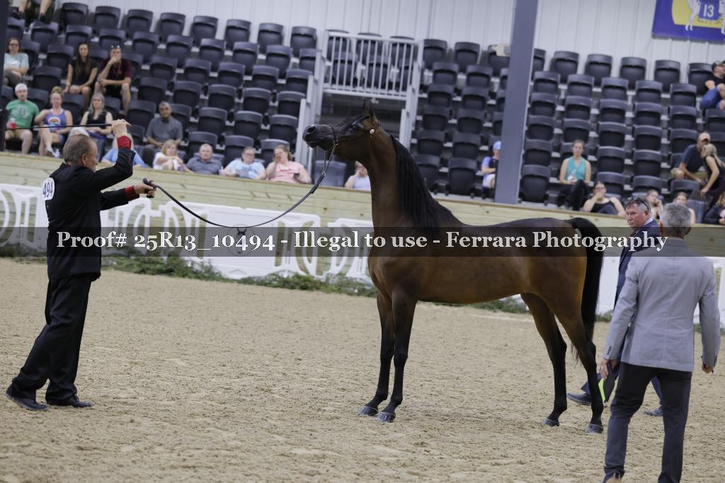 Proof 25R13_10494