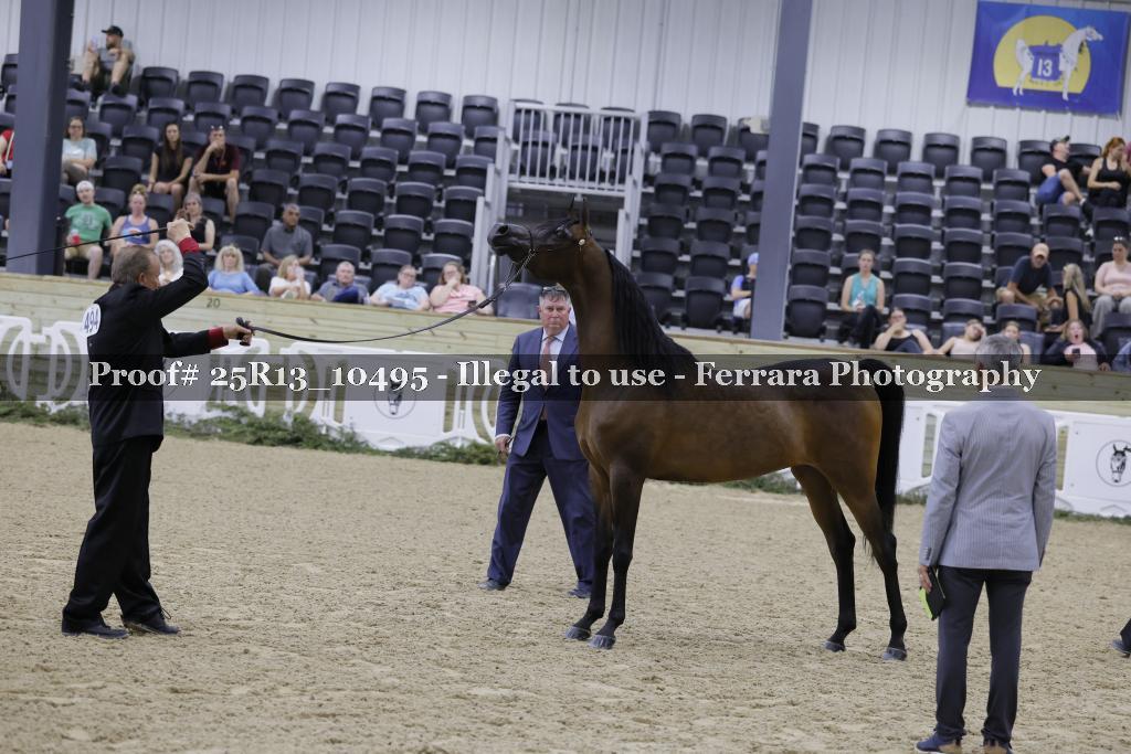 Proof 25R13_10495
