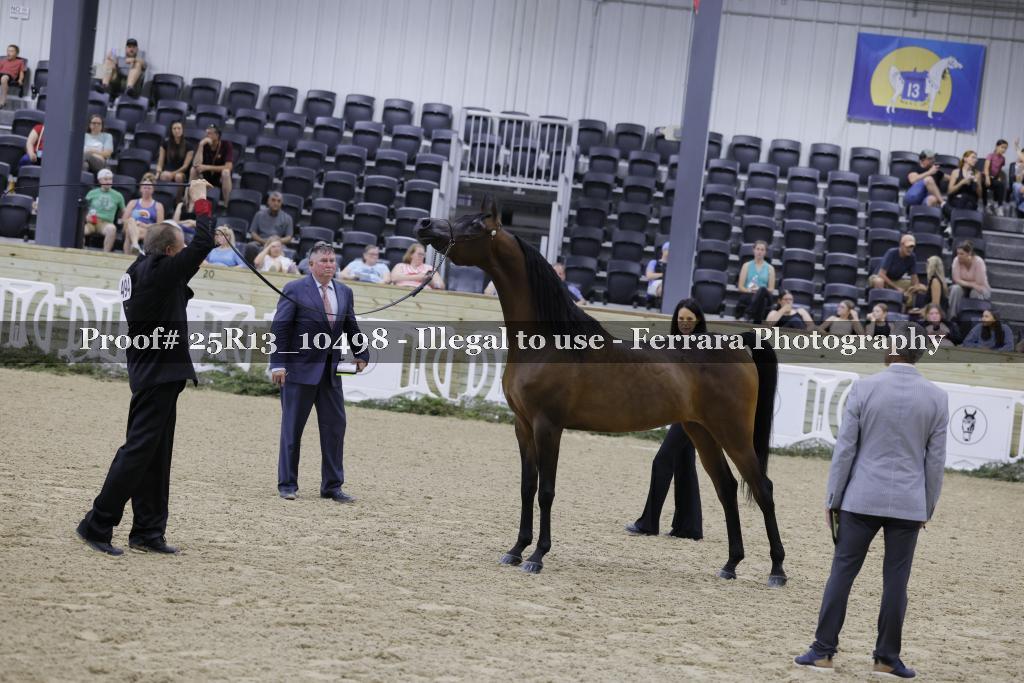 Proof 25R13_10498