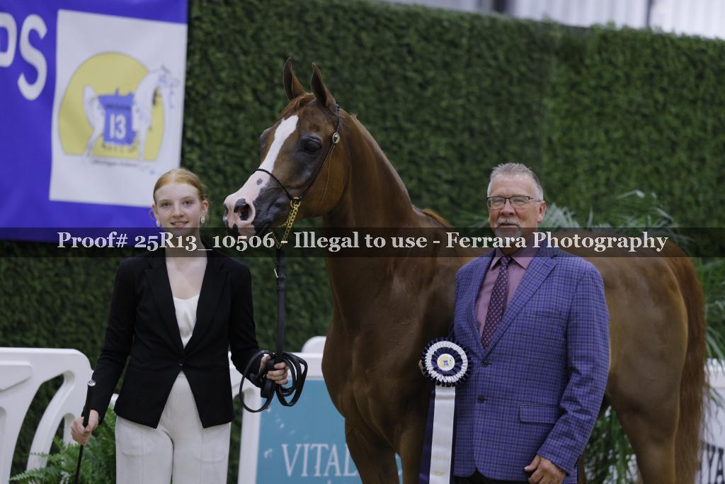 Proof 25R13_10506