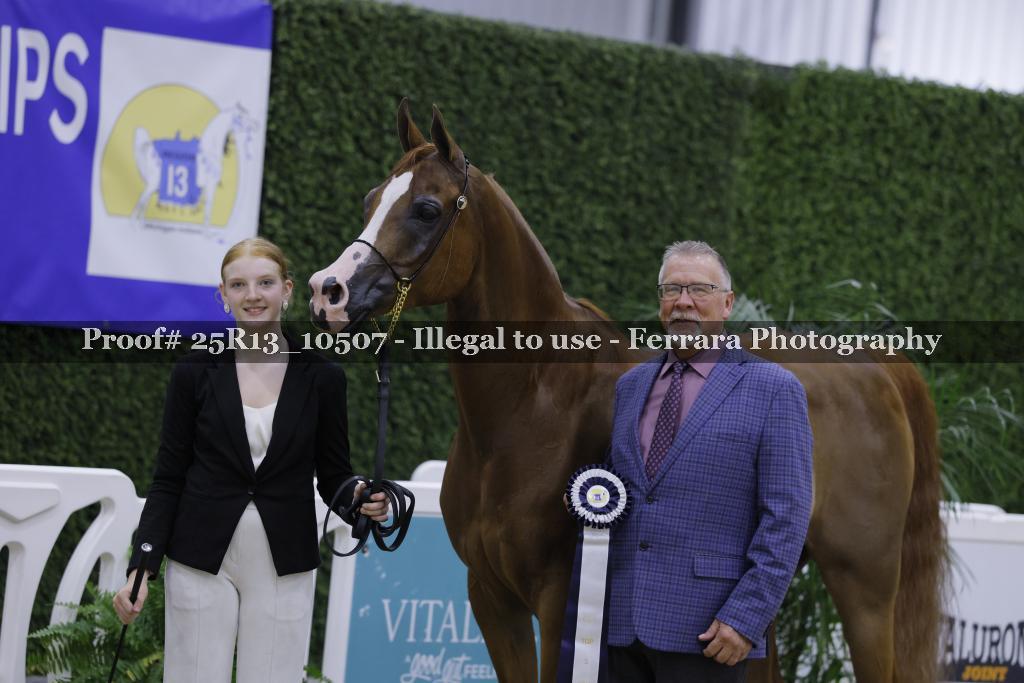 Proof 25R13_10507