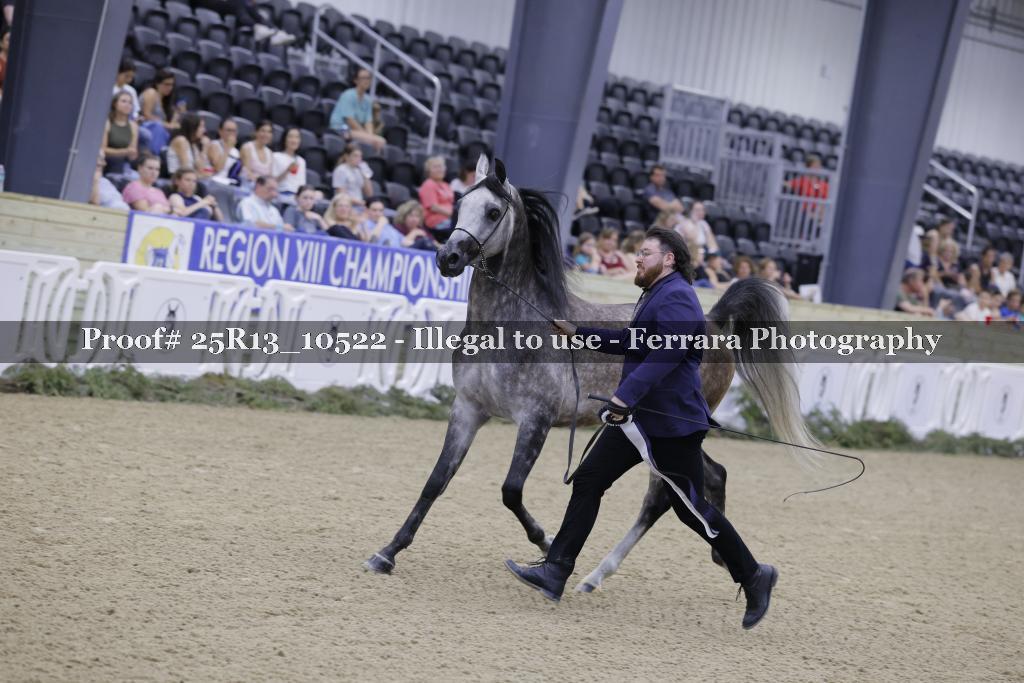 Proof 25R13_10522