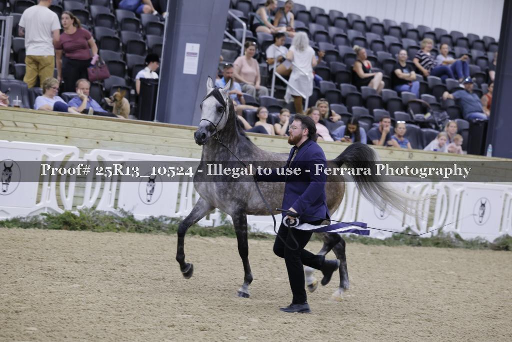 Proof 25R13_10524