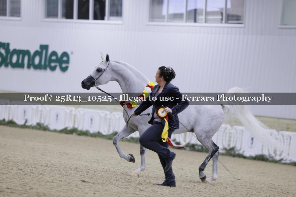 Proof 25R13_10525