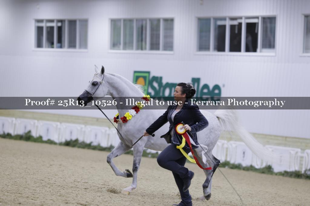 Proof 25R13_10526
