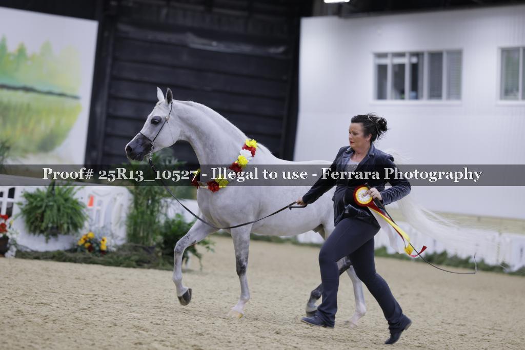 Proof 25R13_10527