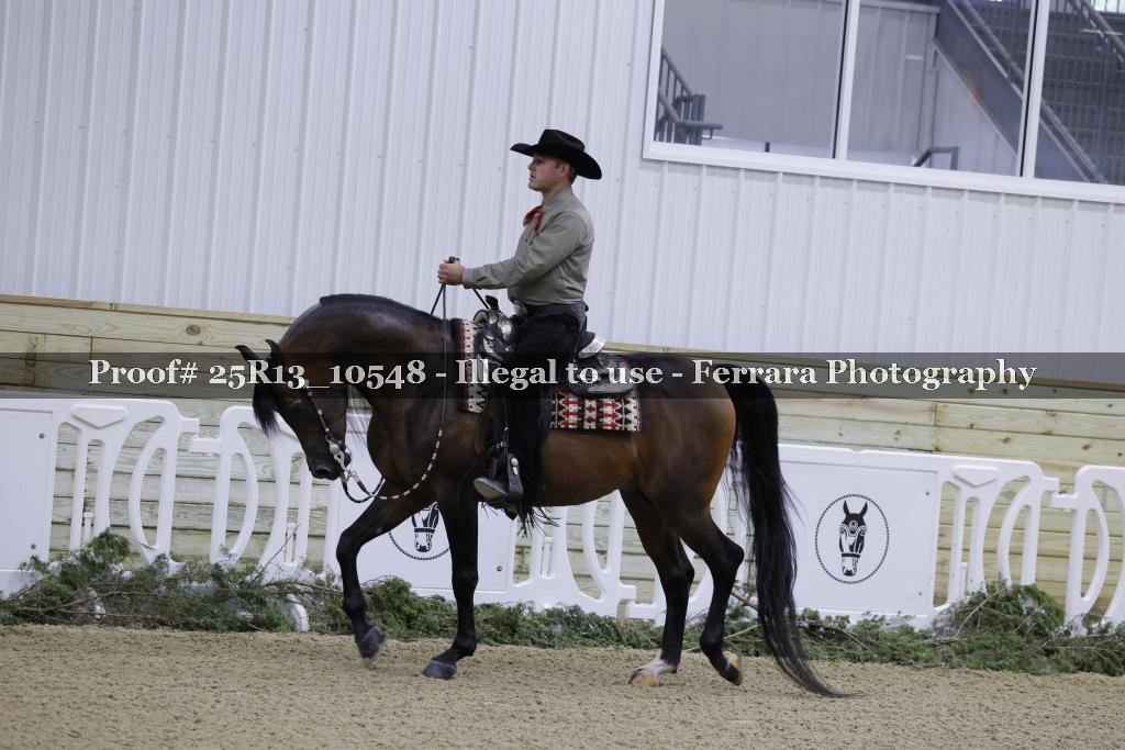 Proof 25R13_10548