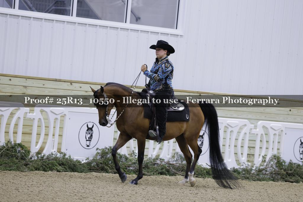 Proof 25R13_10550