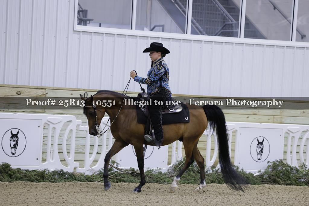 Proof 25R13_10551
