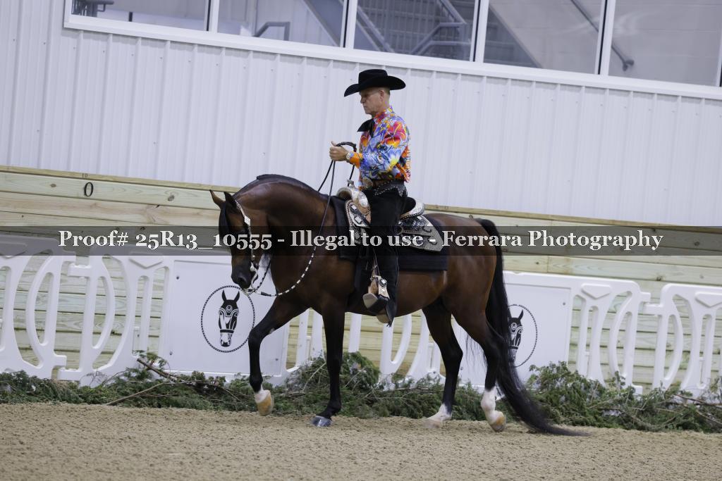 Proof 25R13_10555