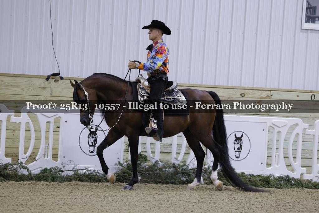 Proof 25R13_10557