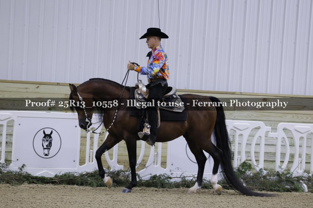 Proof 25R13_10558